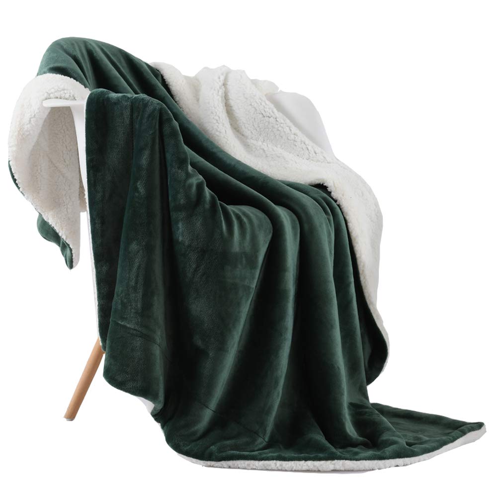 NANPIPER Warm Sherpa Blanket Queen Size for Bed, Soft Fleece for Winter, Fuzzy Plush Throw Gift for Women, Lavender 90x90 Inches