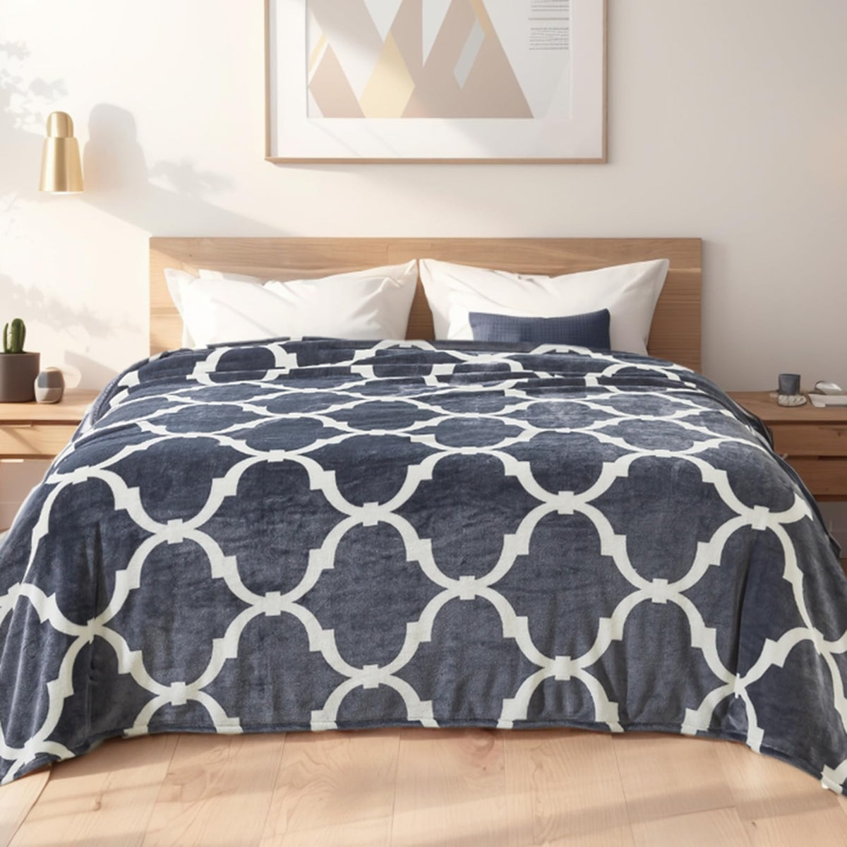 Fleece Blanket Queen Size for All Season 350GSM - Premium Lightweight Anti-Static Throw for Queen/Full Size Bed Extra Soft Brush Fabric Warm Sofa Thermal Blanket 90" x 90"(Dark Gray Queen)
